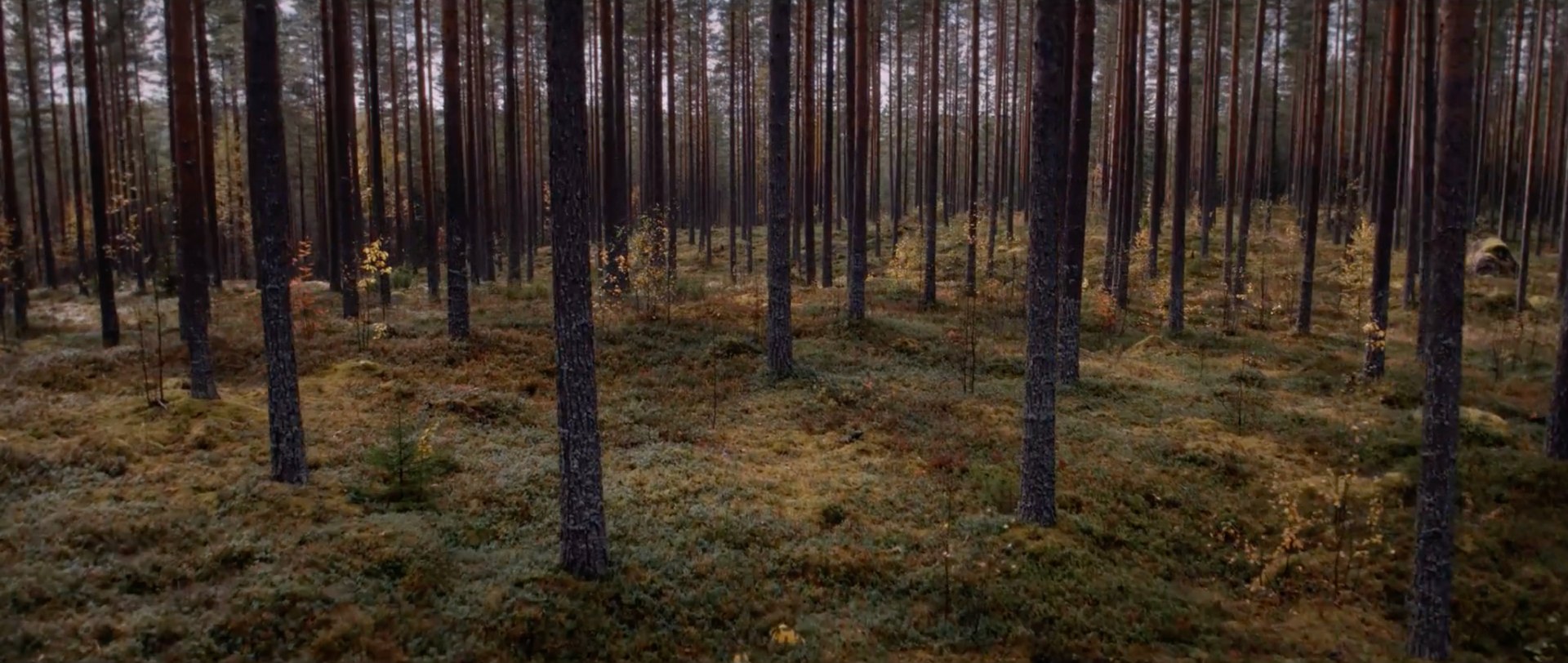 Central Finland / Location production still